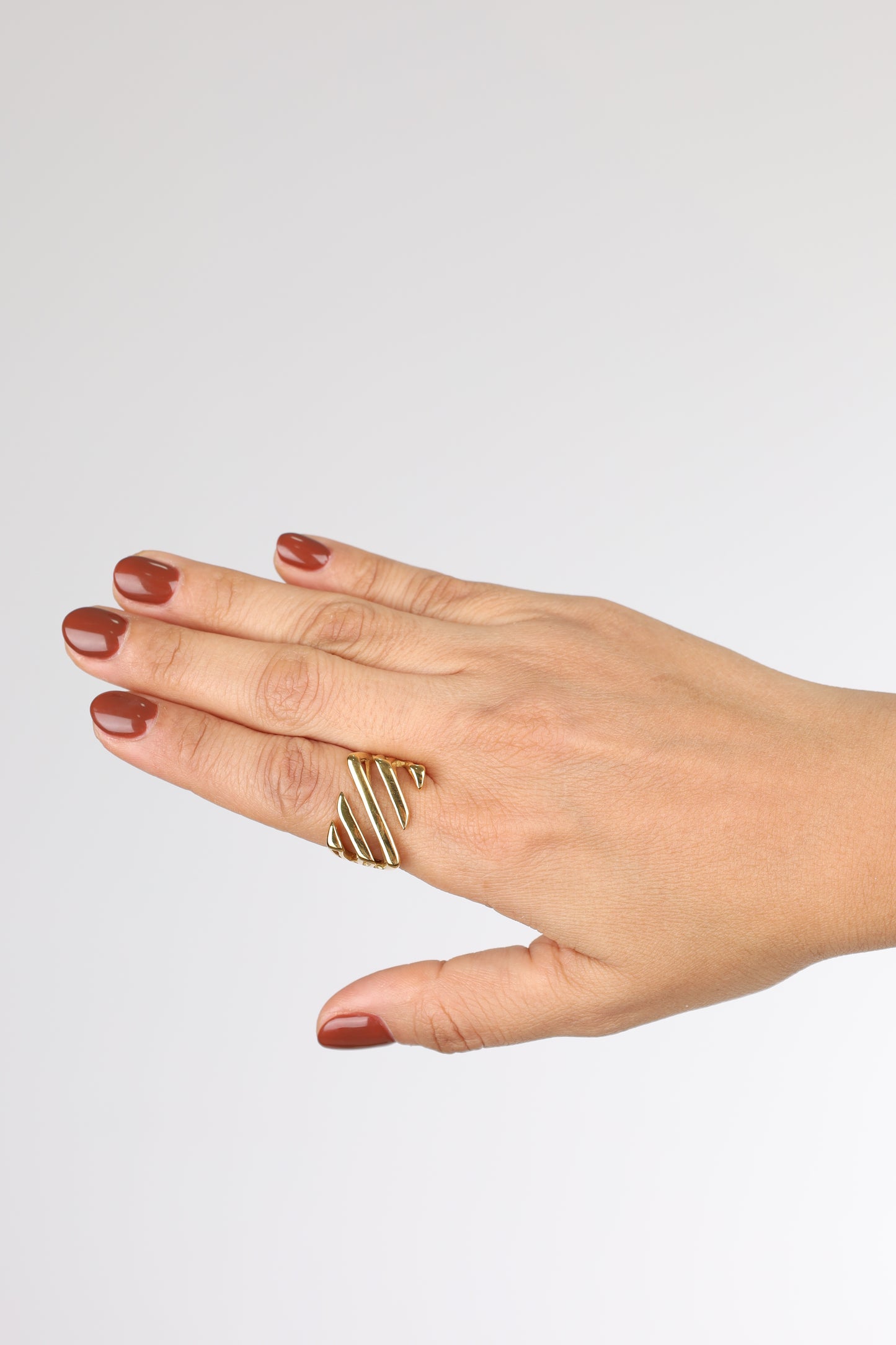 Anillo Lineas