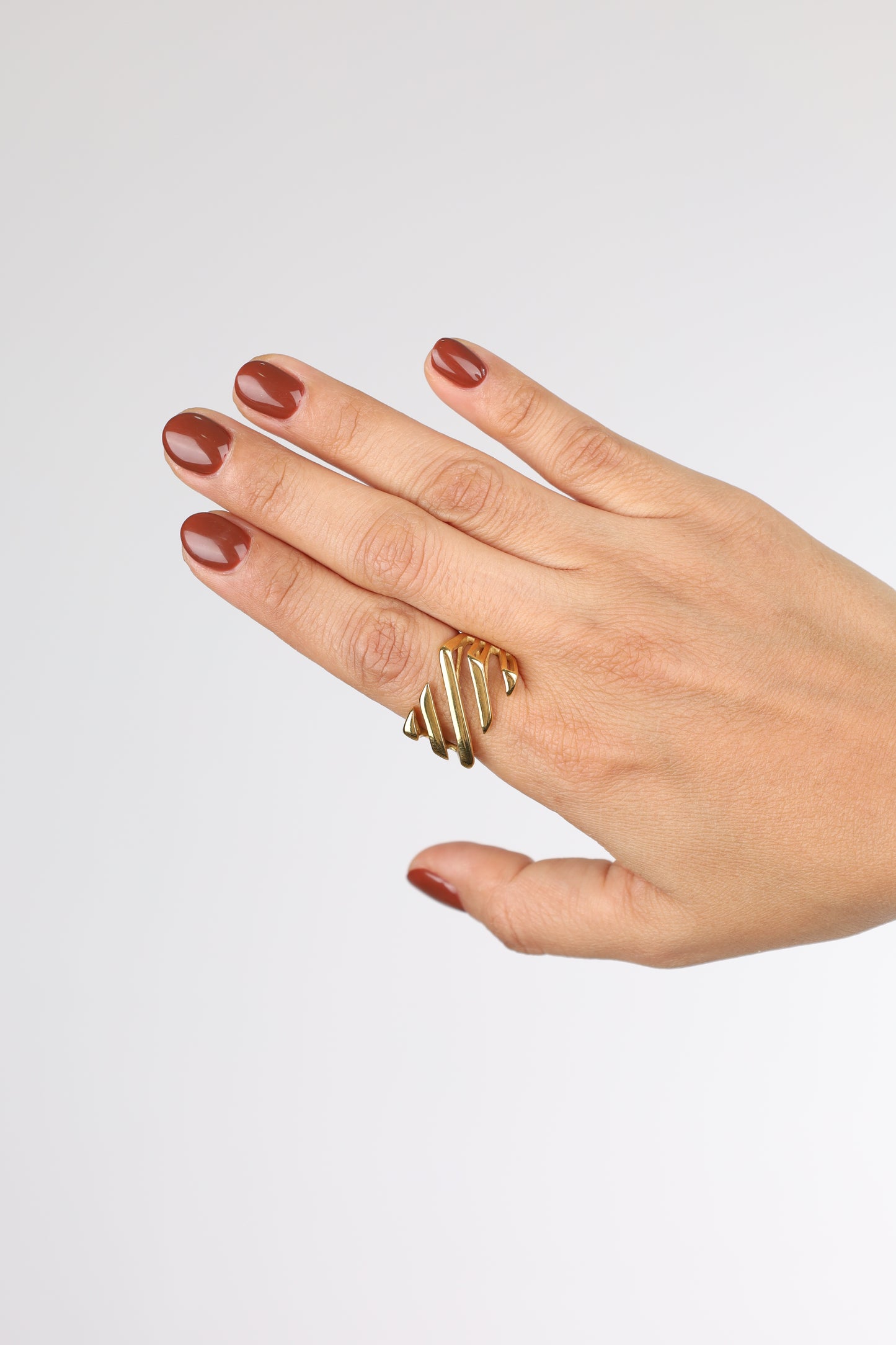Anillo Lineas
